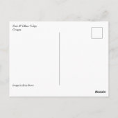 Rosa und gelbe Tulpen Postkarte (Rückseite)