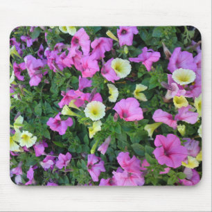 Rosa und gelbe Unterröhre-Blume Mousepad