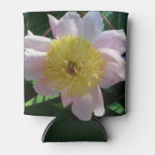 Rosa und gelbe Zinnen Schöne Blüten Dosenkühler (Vorderseite)