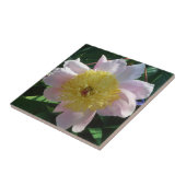 Rosa und gelbe Zinnen Schöne Blüten Fliese (Seite)