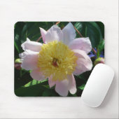 Rosa und gelbe Zinnen Schöne Blüten Mousepad (Mit Mouse)