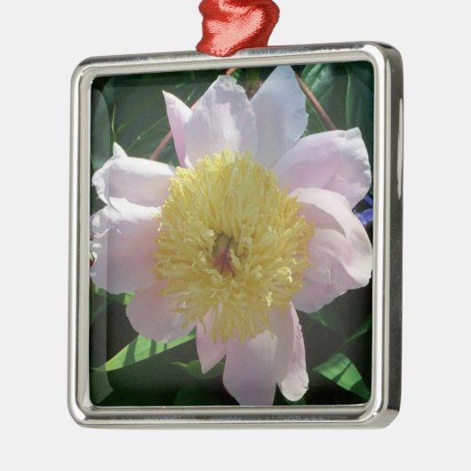 Rosa und gelbe Zinnen Schöne Blüten Ornament Aus Metall (Links)