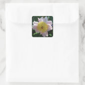 Rosa und gelbe Zinnen Schöne Blüten Quadratischer Aufkleber (Tasche)