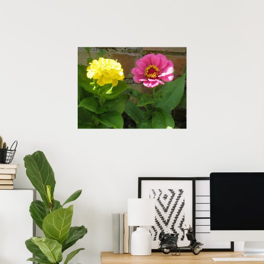 Rosa und gelbe Zinni drucken Poster (Heimbüro)