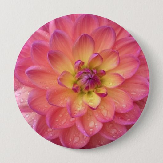 Rosa und gelbes Dahlienmuster Button (Vorderseite)