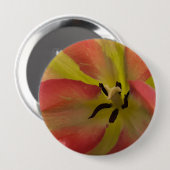 Rosa und Gelbfärbung Button (Vorne & Hinten)