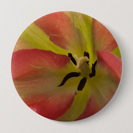 Rosa und Gelbfärbung Button (Vorderseite)