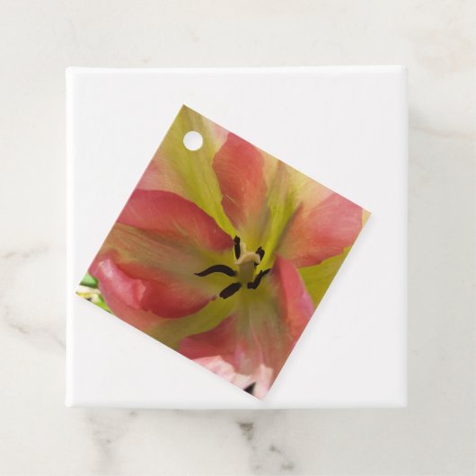 Rosa und Gelbfärbung Geschenkanhänger (Beispiel)