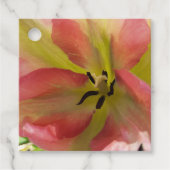 Rosa und Gelbfärbung Geschenkanhänger (Vorderseite)