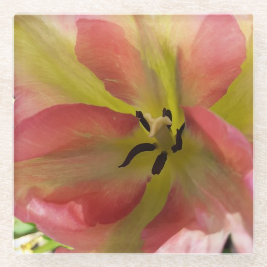 Rosa und Gelbfärbung Glasuntersetzer (Vorderseite)