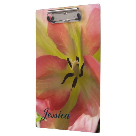 Rosa und Gelbfärbung Klemmbrett (Links)