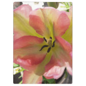 Rosa und Gelbfärbung Klemmbrett (Rückseite)