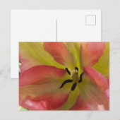 Rosa und Gelbfärbung Postkarte (Vorne/Hinten)