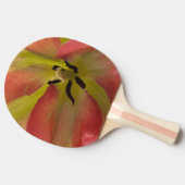 Rosa und Gelbfärbung Tischtennis Schläger (Seitenansicht)