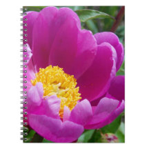 Rosa- und GelbpechNotebook