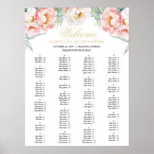 Rosa und goldfarbene Quinceñera Sitzkarte Poster