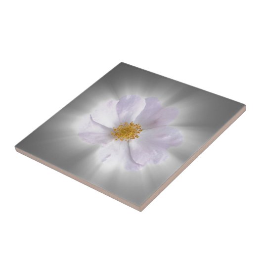 rosa und grau fliese (Seite)