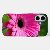 Rosa und grüne Gerbera Daisy Case-Mate iPhone Hülle (Rückseite (Horizontal))