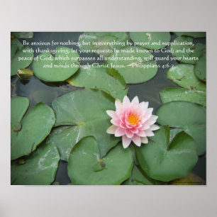 Rosa und grüne Lily Pad Blume mit Bibelverse Poster
