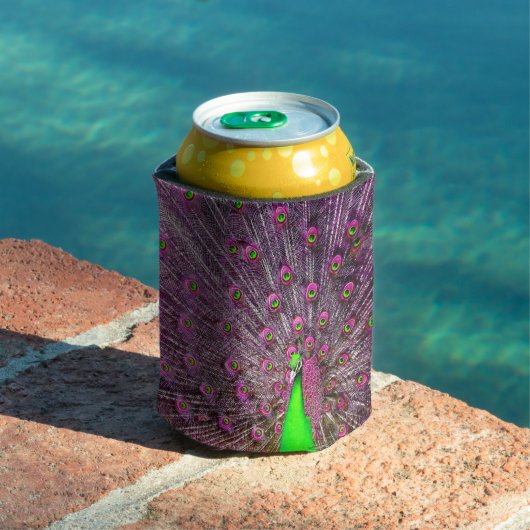 rosa und grüne Pfaue, Dosenkühler (In Situ Pool)