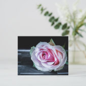 Rosa und grüne Rose Einladung (Stehend Vorderseite)