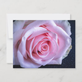 Rosa und grüne Rose Einladung