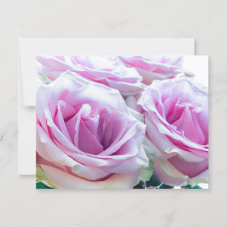 Rosa und grüne Rose Einladung