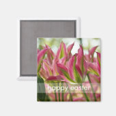 Rosa und grüne, variierte Tulpen DSC0796 Magnet (Vorderseite/Rückseite)