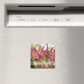 Rosa und grüne, variierte Tulpen DSC0796 Magnet (In Situ (Geschirrspüler))
