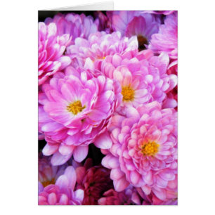 "Rosa und hübsche Mamas "