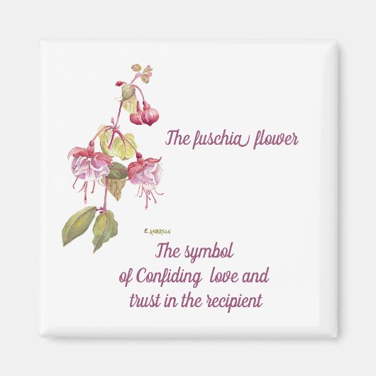 Rosa und lila Blume Magnet (Vorne)