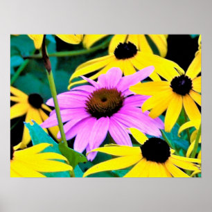 Rosa und Lila Blüte mit gelben Blumen Poster