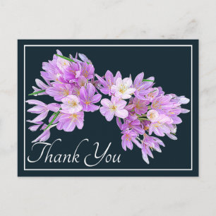 Rosa und Lila Crocuses Grauer Hintergrund Vielen D Postkarte