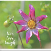 Rosa und Lila Dahlia-Blume Motivierend Aufkleber (Vorderseite)