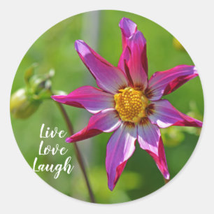 Rosa und Lila Dahlia-Blume Motivierend Runder Aufkleber