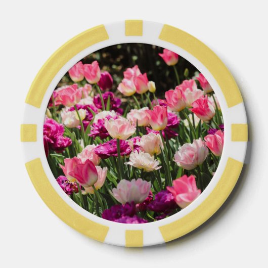 Rosa und Lila Freude Pokerchips (Vorderseite)