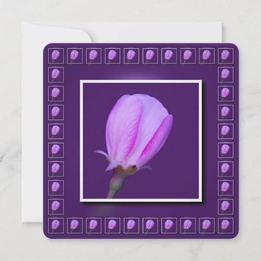 Rosa und Lila Frühlingsblüte Einladung (Vorderseite)