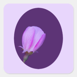 Rosa und Lila Frühlingsblüte Quadratischer Aufkleber