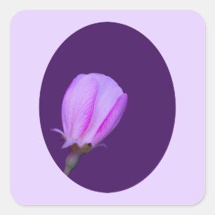 Rosa und Lila Frühlingsblüte Quadratischer Aufkleber