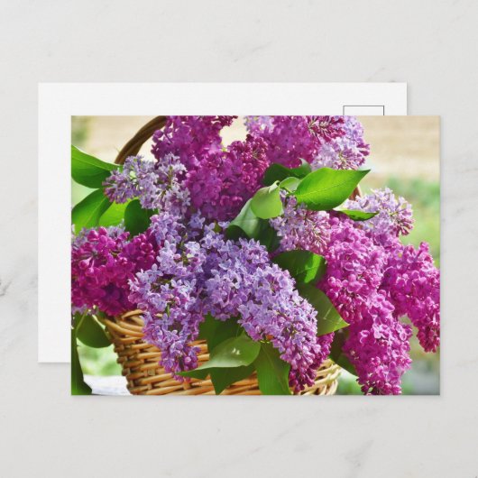 Rosa und Lila Frühlingstraffe Blume in einem Korb Postkarte (Vorne/Hinten)