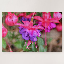 Rosa und lila Fuchsia-Blume in Blüte Puzzle