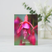 Rosa und Lila Fuchsia Postkarte (Stehend Vorderseite)