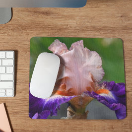 Rosa und Lila gebärfähige Irisblüte Mousepad