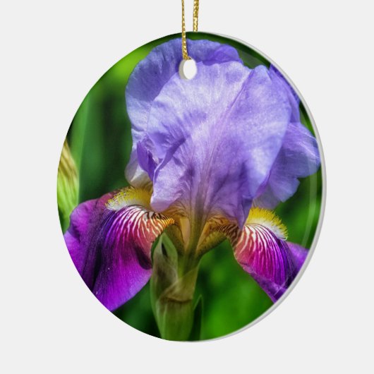Rosa und Lila Gelbe Iris-Blume Keramik Ornament (Links)
