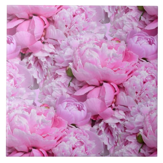 Rosa und Lila Peonies- Fliese (Vorderseite)