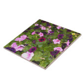 Rosa und Lila Petunia Blume Tile Fliese (Seite)