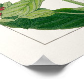 rosa und Lila Phlox-Blume von Tanigami Konan, Poster (Ecke)