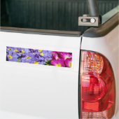Rosa und lila Primaten Autoaufkleber (Auf Lkw)