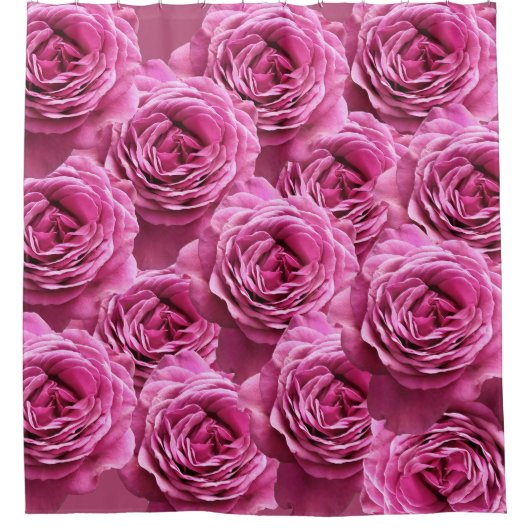 Rosa und lila Rose Duschvorhang (Vorderseite)