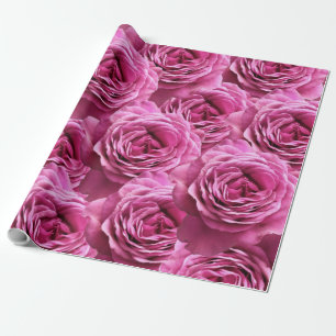 Rosa und lila Rose Geschenkpapier